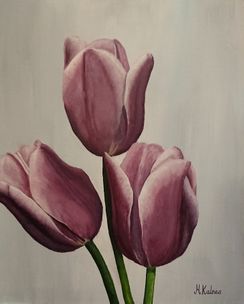 Tulips for you